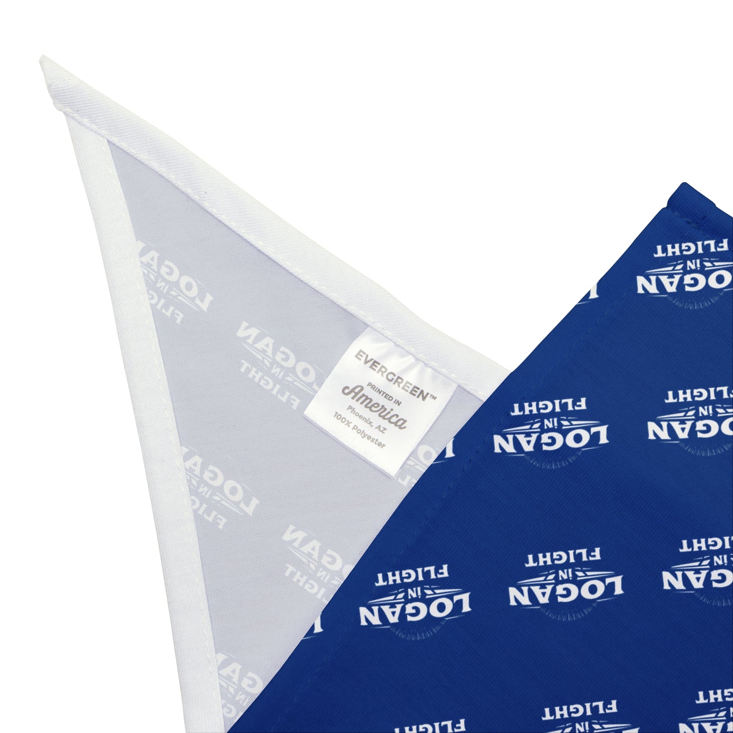 Logan in Flight Pet Bandana