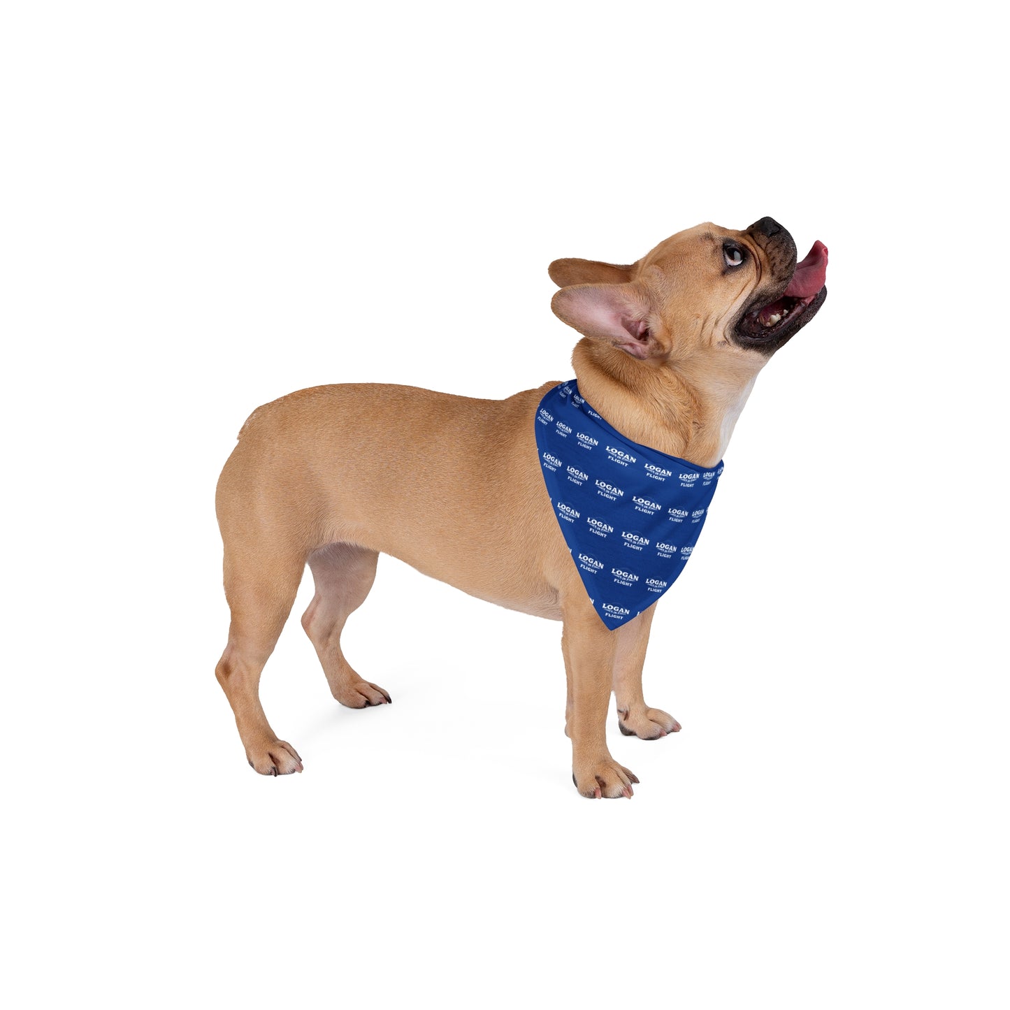 Logan in Flight Pet Bandana